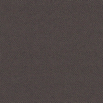 camira-era-cse21.jpg